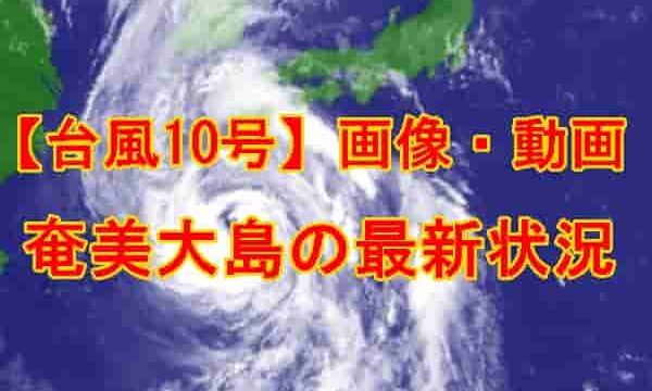 奄美大島台風10号